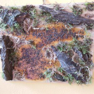 Moss & Bark Original Artwork